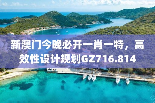 新澳門今晚必開一肖一特，高效性設(shè)計(jì)規(guī)劃GZ716.814
