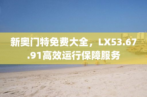 新奧門特免費大全，LX53.67.91高效運行保障服務