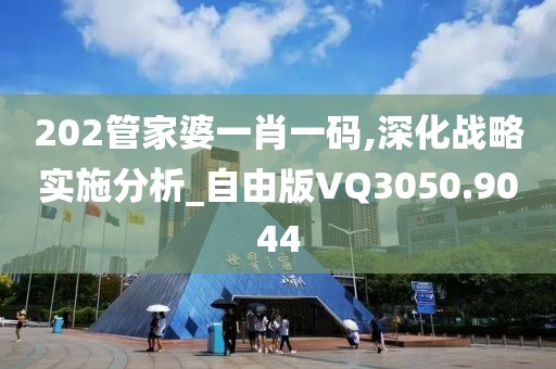 202管家婆一肖一碼,深化戰(zhàn)略實施分析_自由版VQ3050.9044