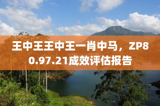王中王王中王一肖中馬，ZP80.97.21成效評估報(bào)告