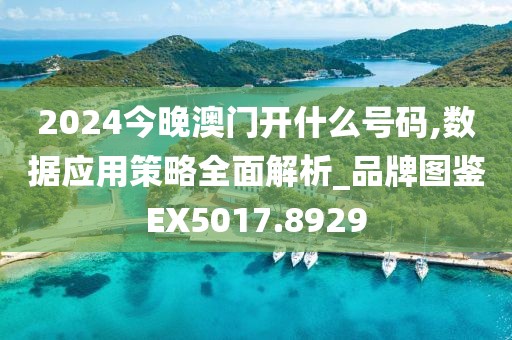 2024今晚澳門開什么號(hào)碼,數(shù)據(jù)應(yīng)用策略全面解析_品牌圖鑒EX5017.8929