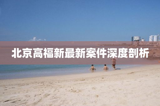 北京高福新最新案件深度剖析