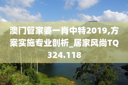 澳門管家婆一肖中特2019,方案實施專業(yè)剖析_居家風尚TQ324.118