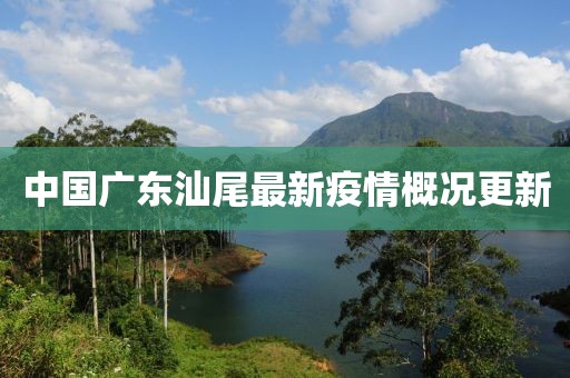 中國(guó)廣東汕尾最新疫情概況更新