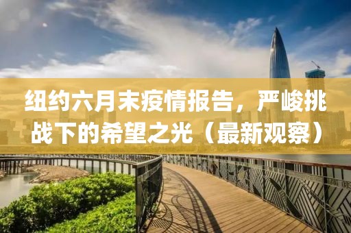 紐約六月末疫情報(bào)告，嚴(yán)峻挑戰(zhàn)下的希望之光（最新觀察）