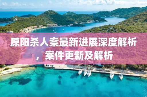 原陽殺人案最新進(jìn)展深度解析，案件更新及解析