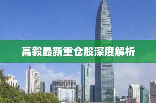 高毅最新重倉股深度解析