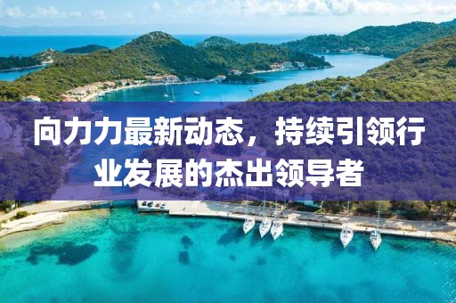 向力力最新動態(tài)，持續(xù)引領(lǐng)行業(yè)發(fā)展的杰出領(lǐng)導(dǎo)者