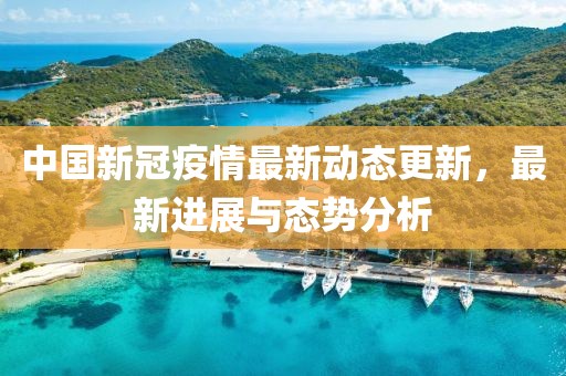 中國新冠疫情最新動(dòng)態(tài)更新，最新進(jìn)展與態(tài)勢分析