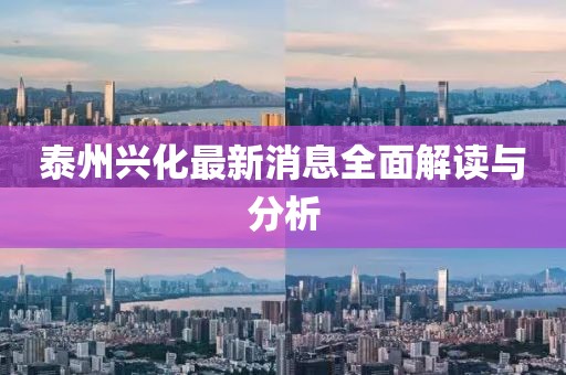 泰州興化最新消息全面解讀與分析