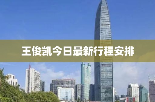 王俊凱今日最新行程安排