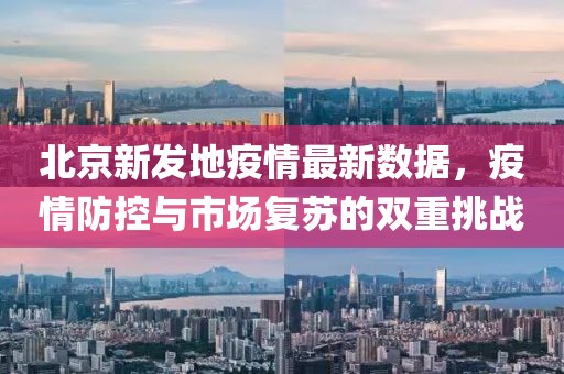 北京新發(fā)地疫情最新數(shù)據(jù)，疫情防控與市場(chǎng)復(fù)蘇的雙重挑戰(zhàn)