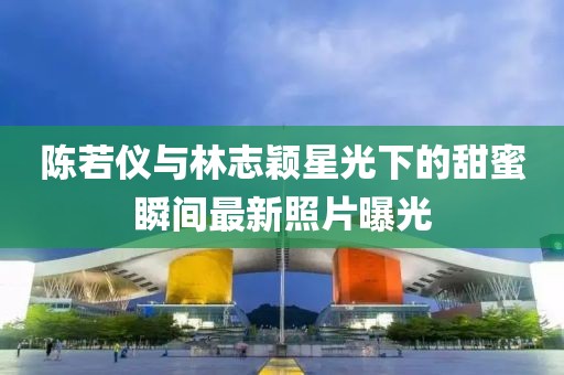 陳若儀與林志穎星光下的甜蜜瞬間最新照片曝光