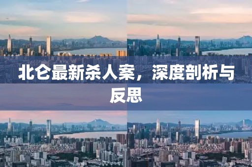 北侖最新殺人案，深度剖析與反思
