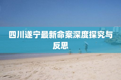 四川遂寧最新命案深度探究與反思