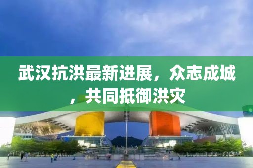 武漢抗洪最新進展，眾志成城，共同抵御洪災(zāi)