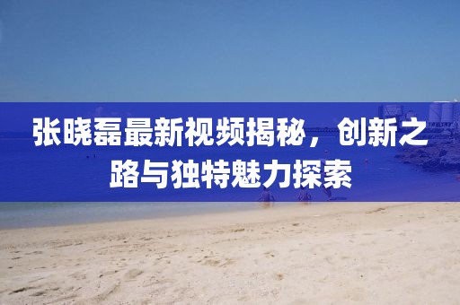 張曉磊最新視頻揭秘，創(chuàng)新之路與獨(dú)特魅力探索