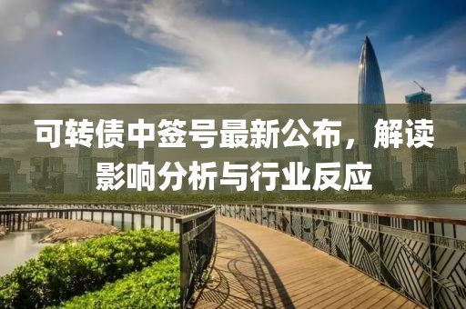 可轉(zhuǎn)債中簽號最新公布，解讀影響分析與行業(yè)反應(yīng)