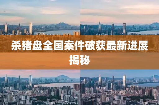 殺豬盤(pán)全國(guó)案件破獲最新進(jìn)展揭秘