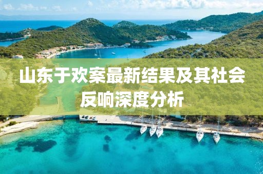 山東于歡案最新結(jié)果及其社會(huì)反響深度分析