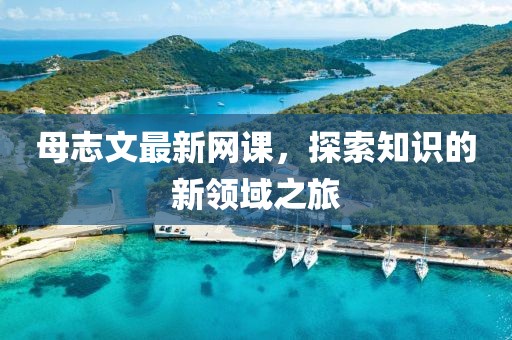 母志文最新網(wǎng)課，探索知識的新領(lǐng)域之旅