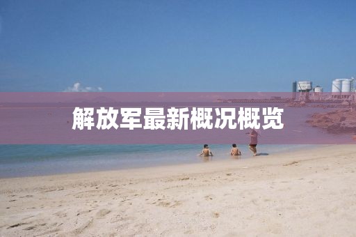 解放軍最新概況概覽