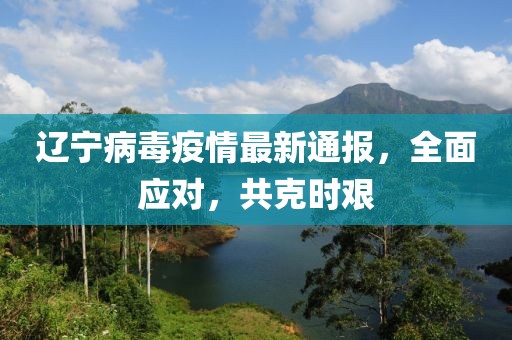 遼寧病毒疫情最新通報(bào)，全面應(yīng)對(duì)，共克時(shí)艱