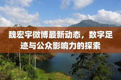 魏宏宇微博最新動(dòng)態(tài)，數(shù)字足跡與公眾影響力的探索
