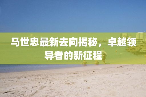 馬世忠最新去向揭秘，卓越領(lǐng)導(dǎo)者的新征程