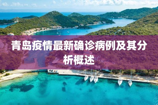 青島疫情最新確診病例及其分析概述