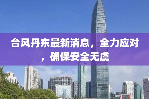 臺風(fēng)丹東最新消息，全力應(yīng)對，確保安全無虞