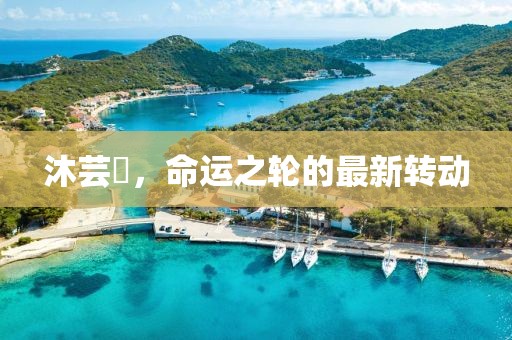 沐蕓婳，命運之輪的最新轉(zhuǎn)動