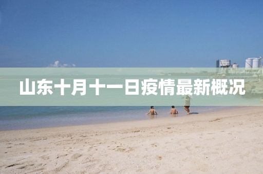 山東十月十一日疫情最新概況