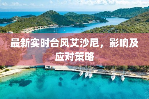 最新實(shí)時(shí)臺(tái)風(fēng)艾沙尼，影響及應(yīng)對(duì)策略