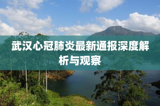武漢心冠肺炎最新通報深度解析與觀察