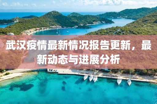 武漢疫情最新情況報(bào)告更新，最新動(dòng)態(tài)與進(jìn)展分析