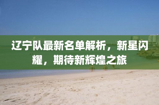 遼寧隊(duì)最新名單解析，新星閃耀，期待新輝煌之旅