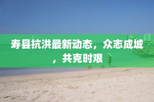 壽縣抗洪最新動(dòng)態(tài)，眾志成城，共克時(shí)艱