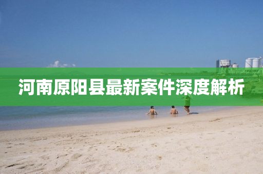 河南原陽縣最新案件深度解析