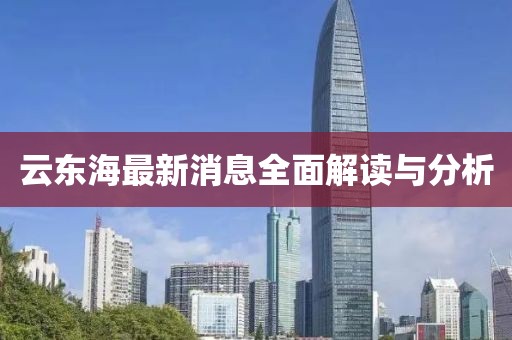 云東海最新消息全面解讀與分析