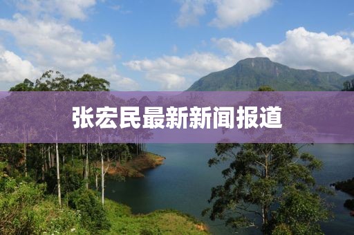 張宏民最新新聞報(bào)道