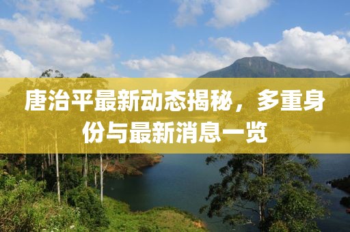 唐治平最新動(dòng)態(tài)揭秘，多重身份與最新消息一覽