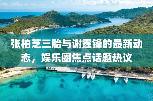張柏芝三胎與謝霆鋒的最新動(dòng)態(tài)，娛樂圈焦點(diǎn)話題熱議