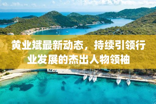 黃業(yè)斌最新動(dòng)態(tài)，持續(xù)引領(lǐng)行業(yè)發(fā)展的杰出人物領(lǐng)袖