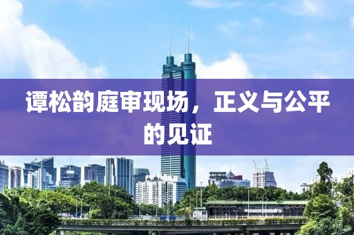 譚松韻庭審現(xiàn)場，正義與公平的見證