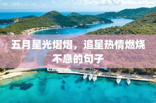 五月星光熠熠，追星熱情燃燒不息的句子