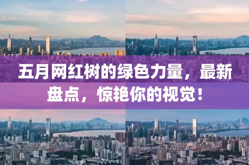 五月網(wǎng)紅樹的綠色力量，最新盤點(diǎn)，驚艷你的視覺！