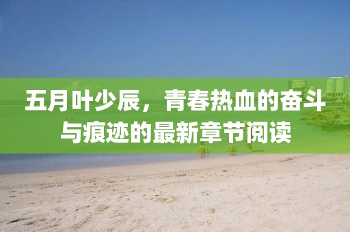 五月葉少辰，青春熱血的奮斗與痕跡的最新章節(jié)閱讀