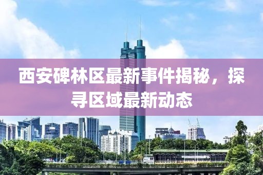 西安碑林區(qū)最新事件揭秘，探尋區(qū)域最新動(dòng)態(tài)