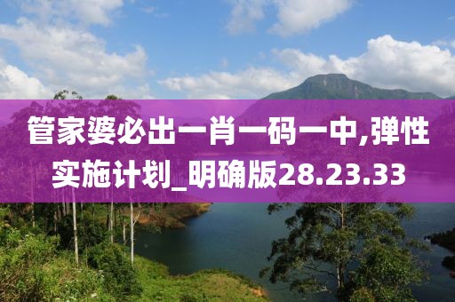 管家婆必出一肖一碼一中,彈性實(shí)施計(jì)劃_明確版28.23.33